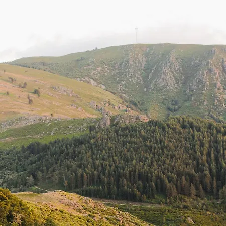 Refugio Carquejas Holiday home Ermelo (Vila Real)