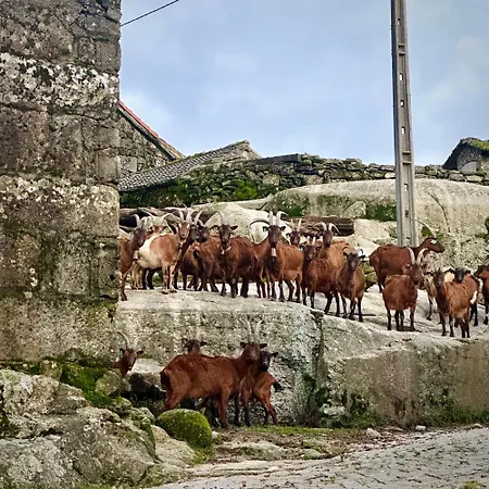Refugio Carquejas Casa de Férias *