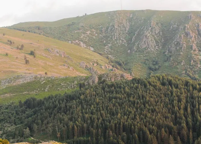 Refugio Carquejas Feriehus Ermelo (Vila Real)