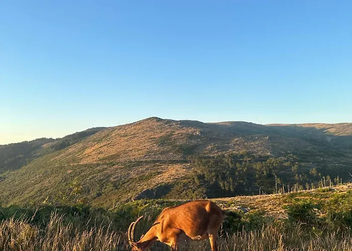 Refugio Carquejas Σπίτι διακοπών